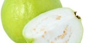 Fresh Guava