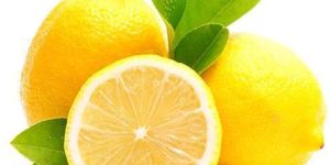 Fresh Lemon