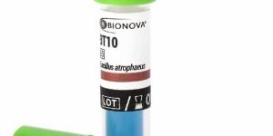 Biological Indicator