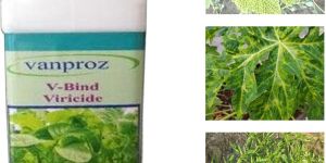 V-Bind Viricide