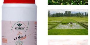 VaMoz-S Mycorrhiza Powder