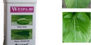 WESPA-80 Agricultural Spray Adjuvant
