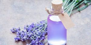 Lavender Hydrosol
