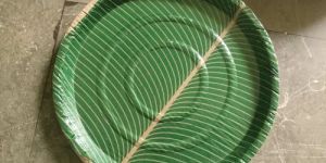 Disposable Paper Plate