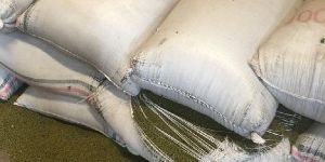 Wholesale Mung Beans