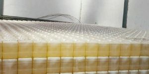 WHOLESALE SUNFLOWER OIL