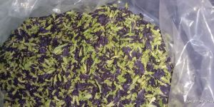 Dried Butterfly Pea Flower,aprajita Flower