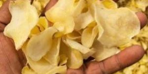 Raw Potato Chips