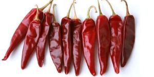 Dry Red Chilli with Stem