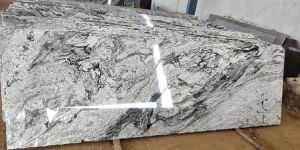 Viscon White Granite Slab