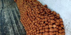 Organic Jaggery Ball