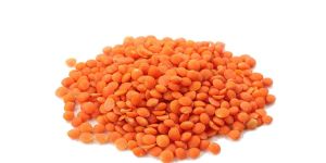 masoor dal / masoor gota/ masoor