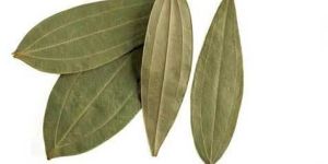 Dried Bay Leaf