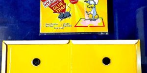 Hy-Catch Eco Rat and Mouse Glue Trap