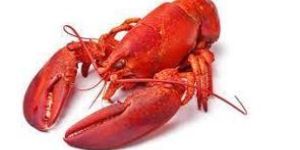 Frozen Whole Cooked IQF Deep Sea Lobster