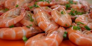 Shrimps