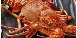 Whole Cooked Deep Sea Lobster