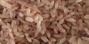 Brown Rice