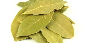 Dry Bay Leaf