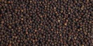 Black Pepper Seeds