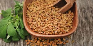 Fenugreek Seeds