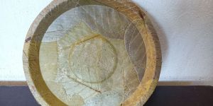 Eco Friendly Disposable Sal Buffet Plates