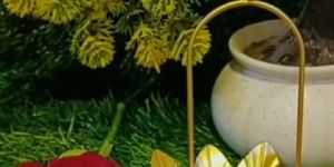 Decorative Candle Holders