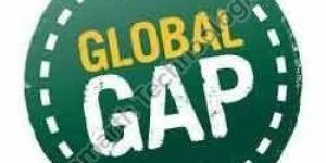 Global G.A.P. (Good Agricultural Practices) Consultancy