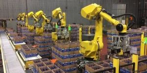 Robotic Automation System