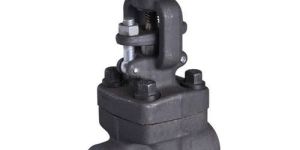 Forged Steel Gate Valve