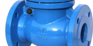 Swing Check Valve
