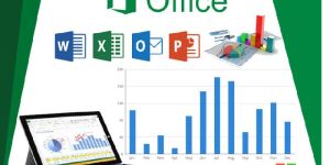 HTS - Best MIS Training Institute in Delhi