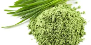 Wheatgrass Powder