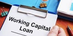 Working Capital Loan Consultancy Services