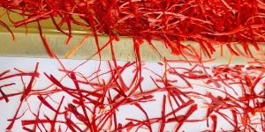 Kashmiri Saffron