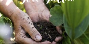 Vermicompost Fertilizer