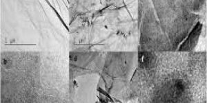 Nano Silver Conductive Ink