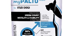 5kg MyPaltu Xcite Stud Dog Food