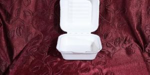 Bagasse Disposable Burger Box