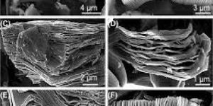 Mn2GaC MAX Phase Powder