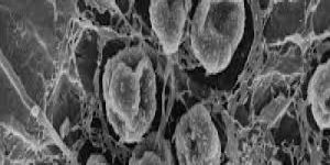 Ti2SnC MAX Phase Powder