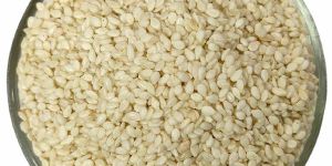 Sesame Seeds