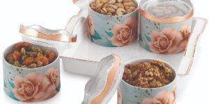 Plastic Dry Fruit Tray Set