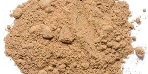 Mushroom Protein Powder