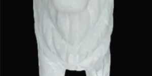 Marble Lion Statue