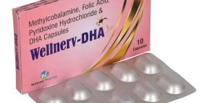 Wellnerv DHA Capsules