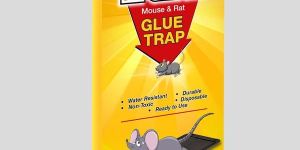 Jumbo Rat Glue Trap