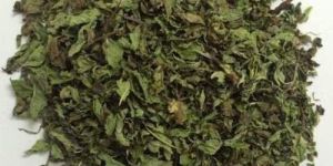 Dried Mint Leaves