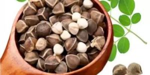 Moringa Seeds