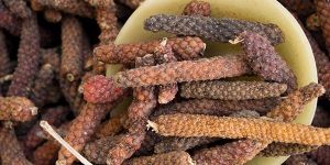 Long Pepper